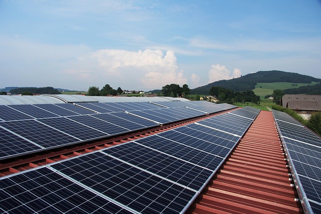 Fotovoltaika zažívá boom. Proč se vyplácí i v domácích podmínkách?